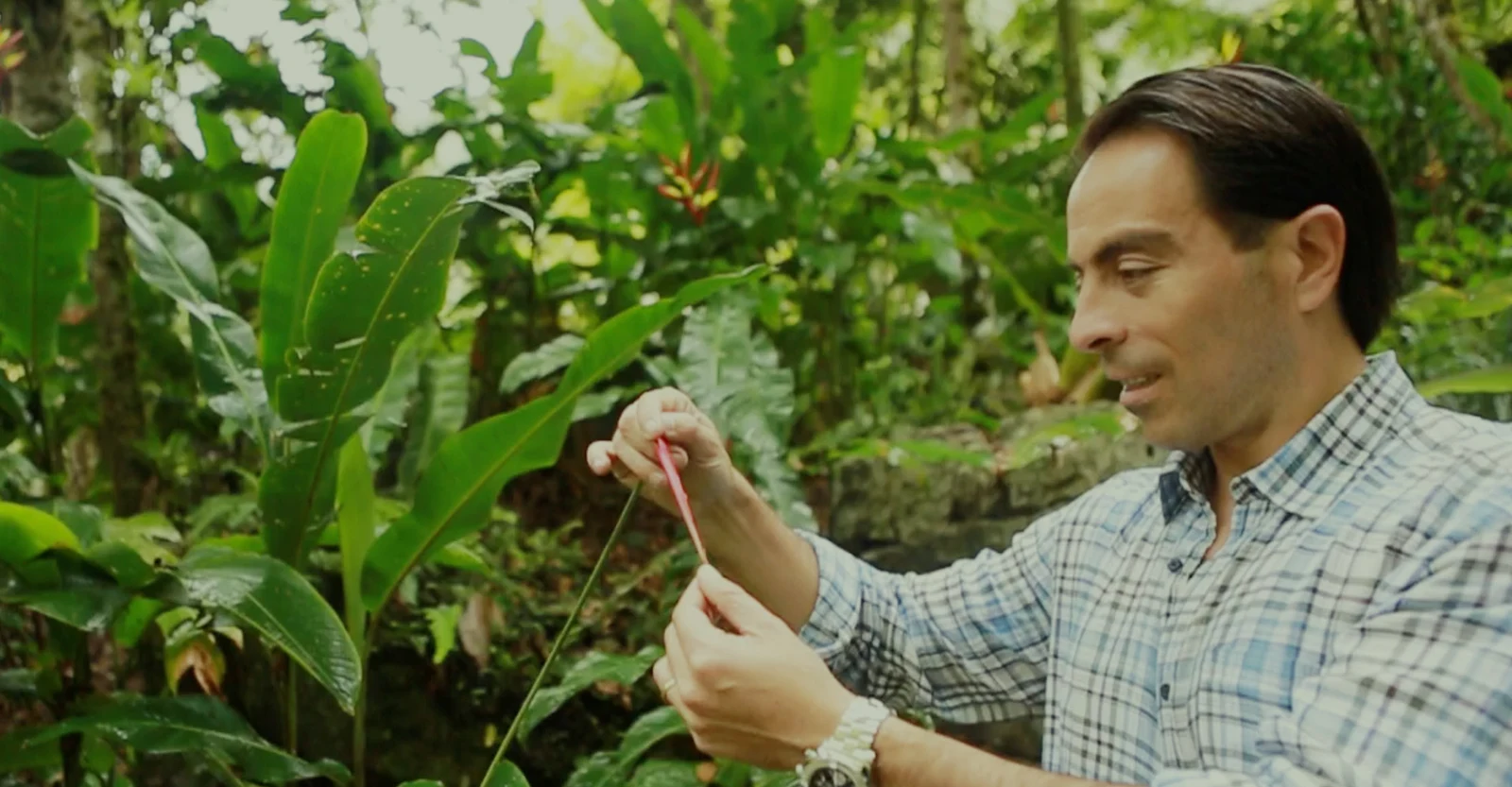 Álvaro Zúñiga y la naturaleza que inspira FuXion